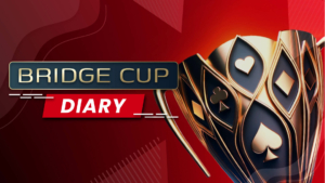 Bridge Cup Diary