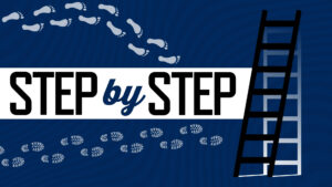 Bridge article step by step