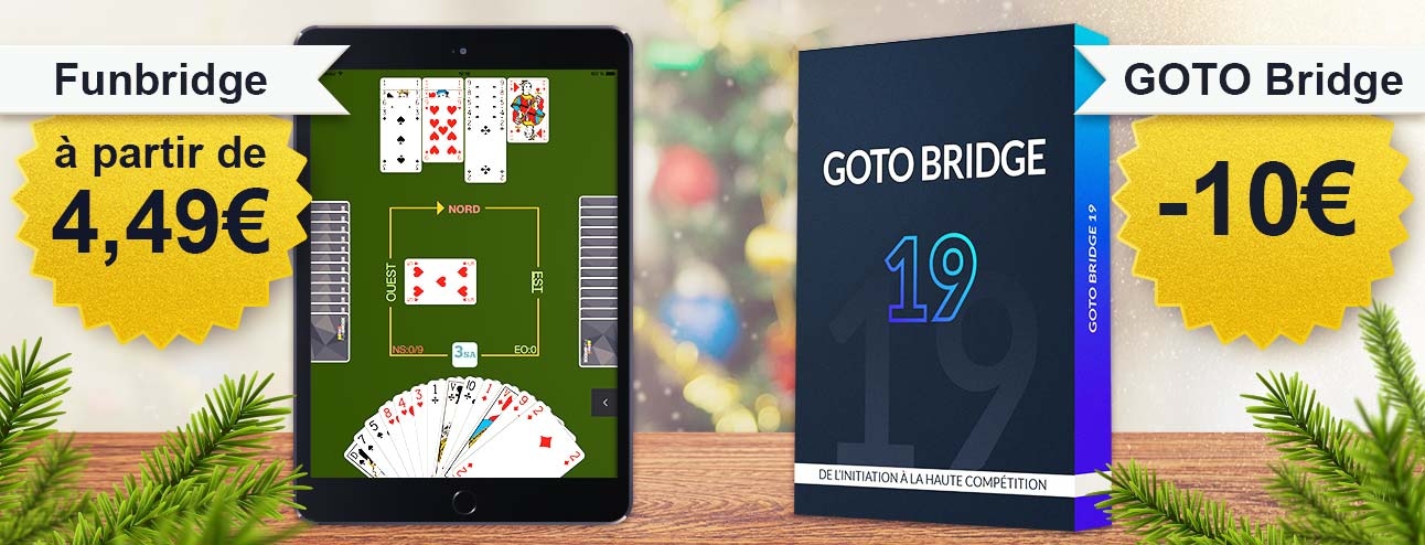 Newsletter Funbridge décembre 2018 : nos idées cadeaux de dernière minute